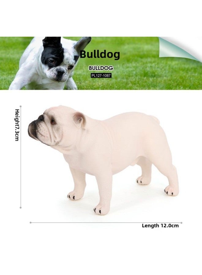 Realistic Solid Static Plastic Animal Models Children's Toys Pet Bull Dogs Early Education Animal Models-Color:PL127-1087 Bulldogs - Image 1